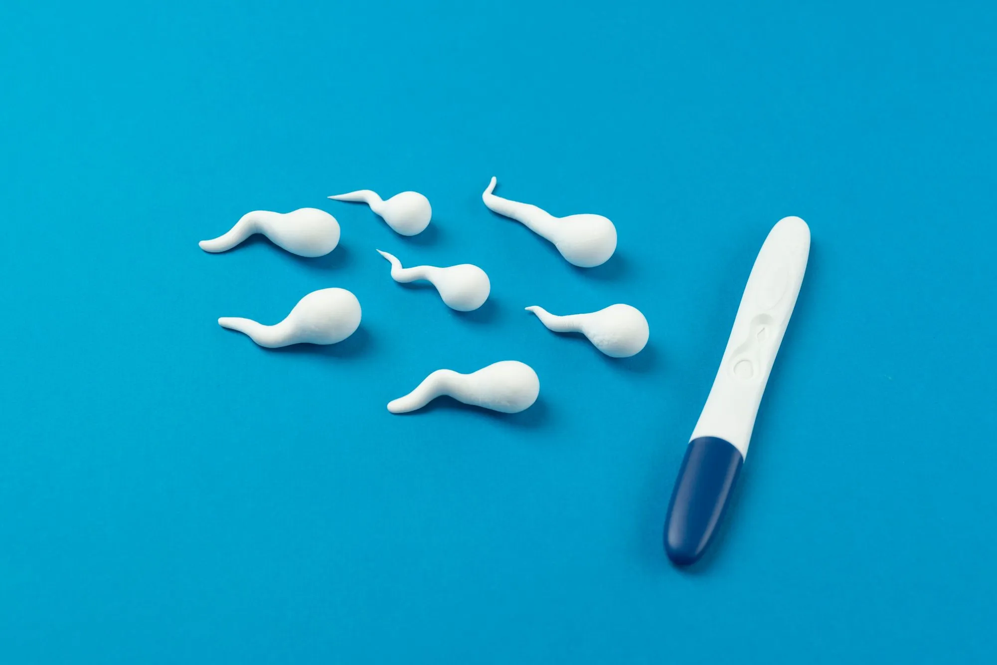 Understanding Male Fertility Testing