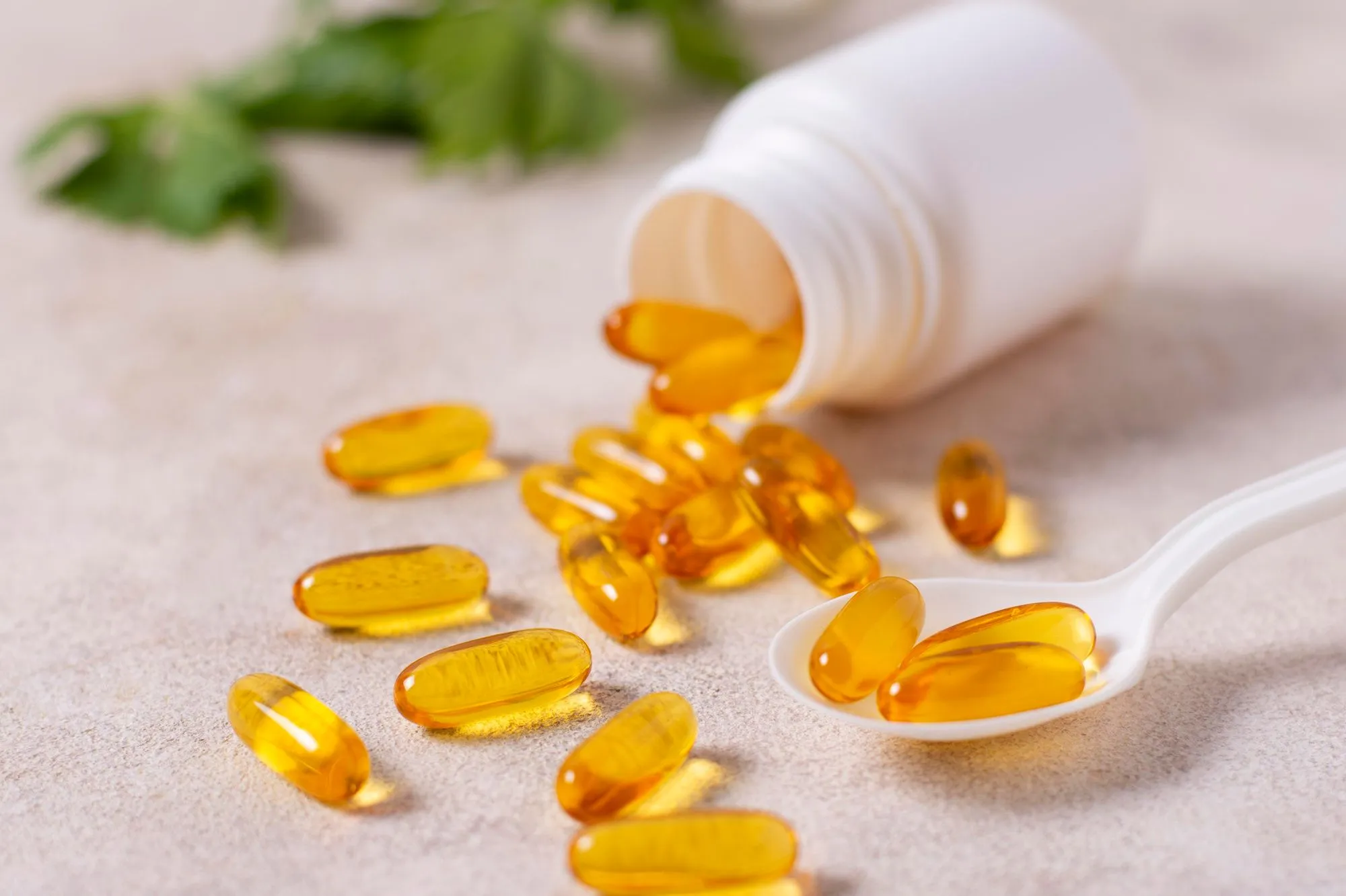 Egg Quality Supplements - instrument to improve your IVF results