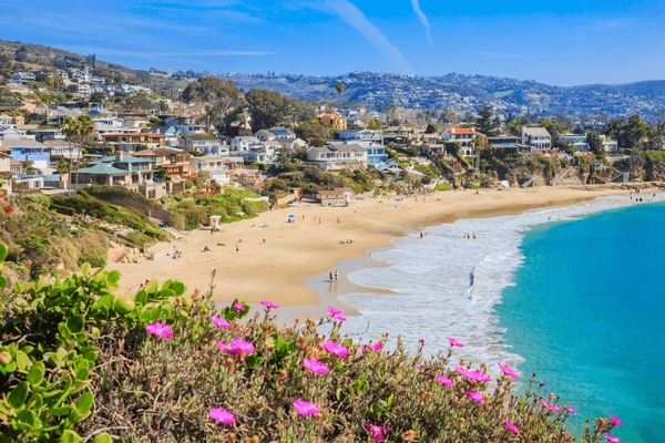 Cost of Freezing Eggs in California & Affordable Fertility Clinics for Egg Freezing
