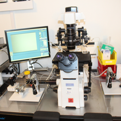 University Reproductive Associates, PC gallery photo