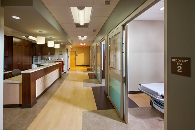 IVF1 gallery photo