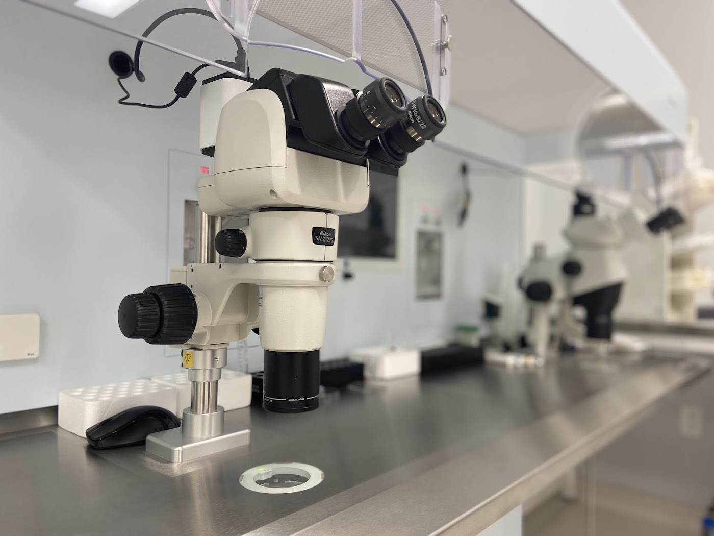 American Fertility Medical Center Corporation gallery photo
