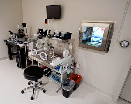 Fertility Specialists Of Texas – Plano / Frisco gallery photo