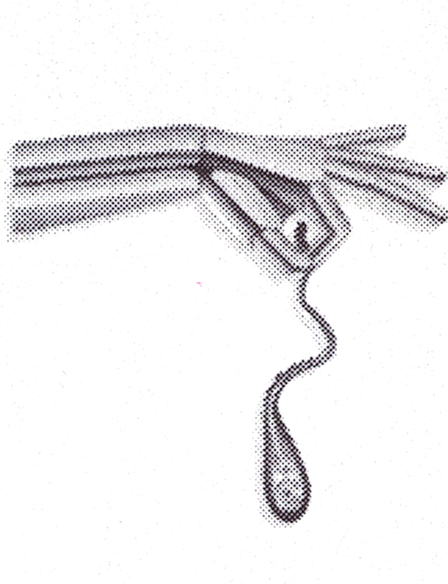 Male Fertility @ Andrology Institute of America gallery photo