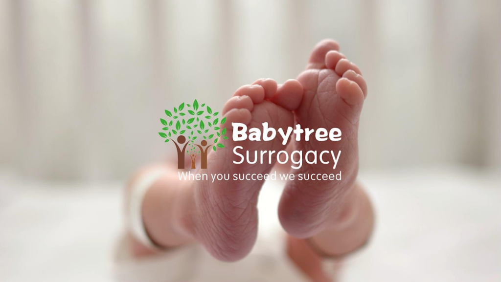 Babytree Surrogacy gallery photo