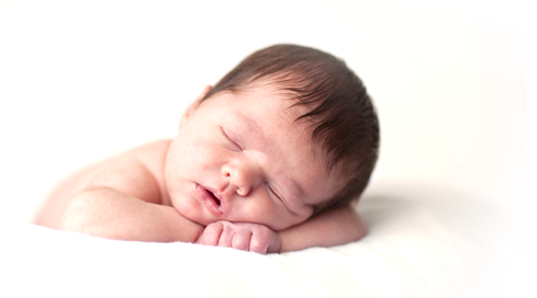 Creative Love Egg Donor & Surrogacy Agency gallery photo