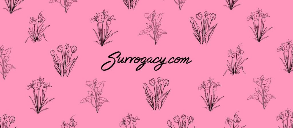 Surrogacy.com gallery photo