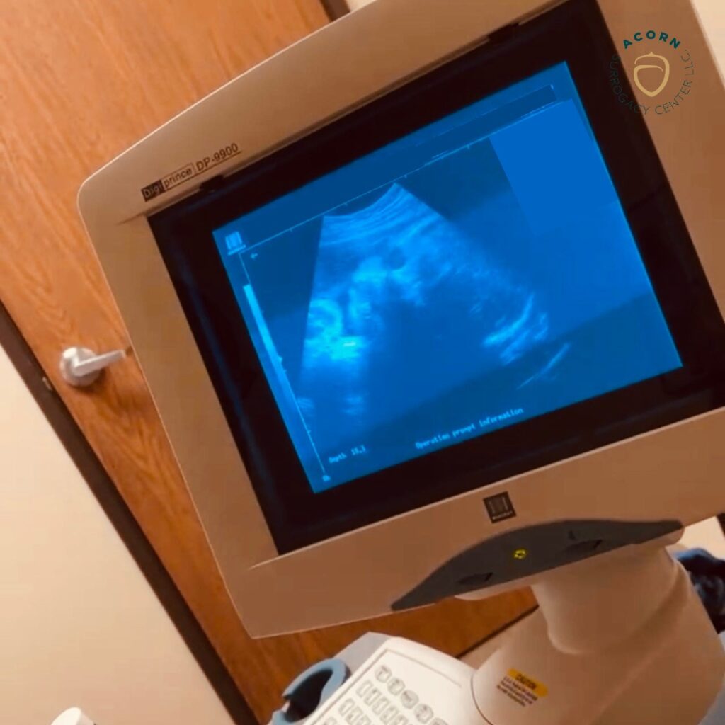 Acorn Surrogacy Center gallery photo