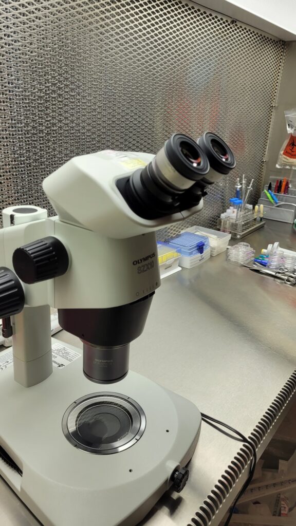 IVFMD Fertility Treatment Center gallery photo