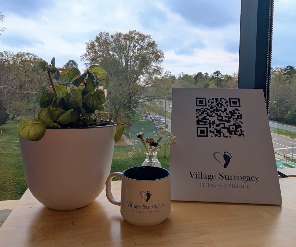 Village Surrogacy gallery photo