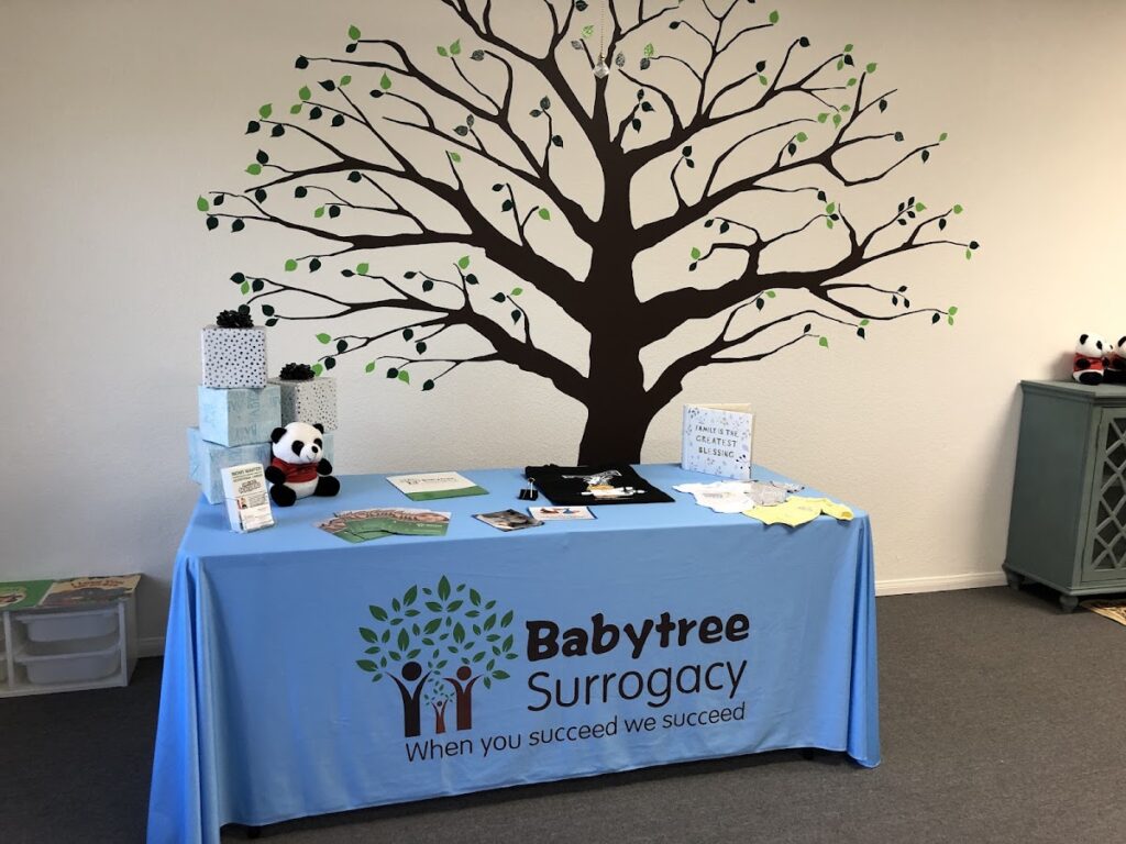 BabyTree Surrogacy gallery photo