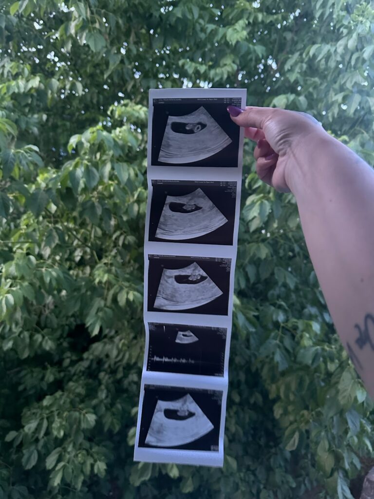 Guided Surrogacy Solutions gallery photo