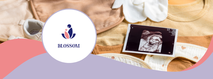 Blossom Fertility | Consultations, Egg Donation, Surrogacy gallery photo