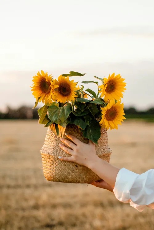 Horizon Fertility gallery photo
