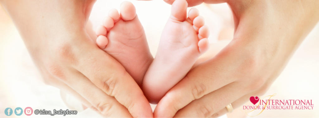 International Donor & Surrogate gallery photo