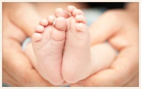 National Exchange for Egg Donation & Surrogacy (NEEDS) — Historical gallery photo