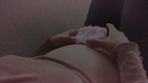 NestDream Surrogacy Miami